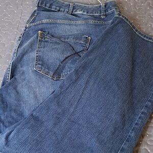 Lane Bryant Simply straight jeans size 28 petite